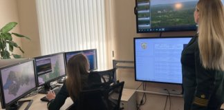 Систему видеоконтроля за лесами и свалками внедряют в Ленобласти