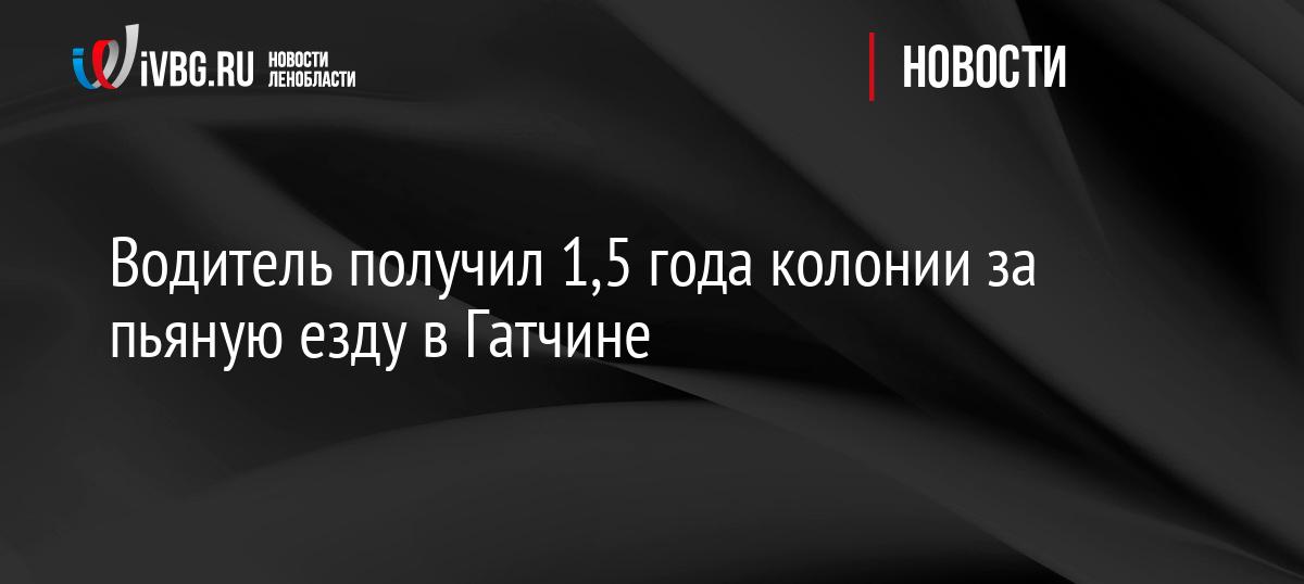 Водитель получил 1,5 года колонии за пьяную езду в Гатчине
