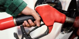 В Ленобласти нет необходимости вводить ограничения на продажу горючего