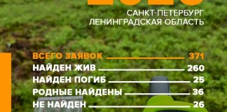 Почти 400 человек пропали в Петербурге и Ленобласти в июне
