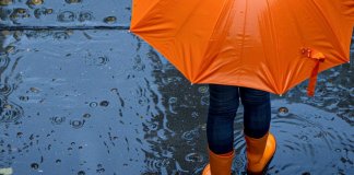 Штормовое предупреждение продлили в Ленобласти до начала следующей недели
