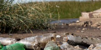 В Ленобласти камеры помогли выписать штрафы за сброс мусора на 17 млн рублей