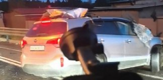 Более 200 ДТП произошло на дорогах Ленобласти за выходные