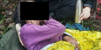 В Ленобласти пенсионерка пять суток провела одна в лесу без еды