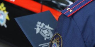 В Ленобласти СК завел дело после нападения собаки на отца с ребенком