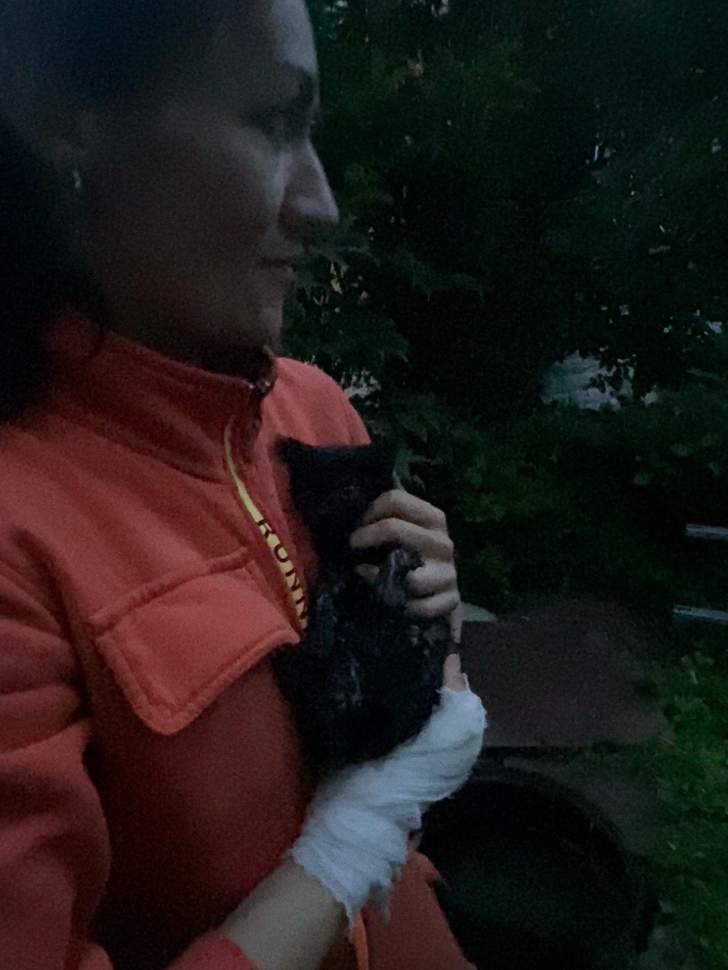 Волонтеры «Кошкиспаса» спасли котенка из люка в Сиверском - Он угодил в люк на территории больницы.