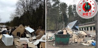 Госэконадзор добился ликвидации свалки в Выборгском районе