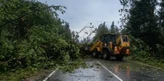 На дорогах Ленобласти устранили последствия разгула стихии