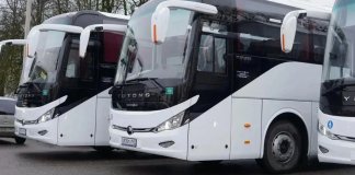 На День Ленобласти запустят дополнительные автобусы между Ивангородом и Петербургом