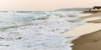 Почти 40 человек погибли в водоемах Ленобласти с начала года