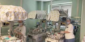 В Ленинградском областном перинатальном центре родилась пятая тройня за всю его историю
