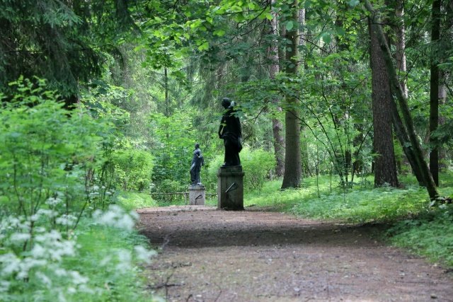 Павловский парк в Петербурге временно закрыли для посещения - Всему виной — разрушительный ураган, пронесшийся над Петербургом 11 июля.