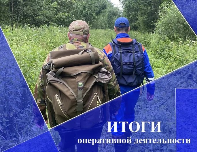 Спасатели Ленобласти почти 30 раз выезжали на вызовы о ЧП за неделю - Аварийно-спасательная служба поделилась недельной сводкой происшествий, в разрешении которых она акт
