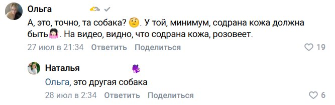 Видео с травмой, переполох в Тихвине и карантин: что известно о ситуации с собакой на балконе - Видео о травмированной собаке взорвало соцсети и заставило жителей Тихвина бить в набат: по их слова
