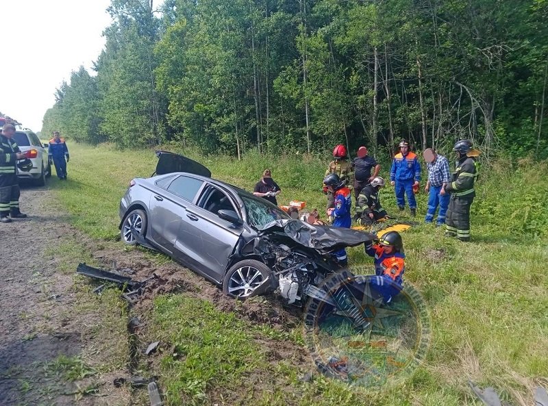 Пять человек пострадали в ДТП в Тосненском районе - Пять человек пострадали в ДТП с автомобилями «Белджи» и «Газель» 11 июля около 12:40 на трассе А-120