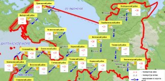 Небольшие дожди и до 29 градусов тепла ожидается в Ленобласти 19 июля