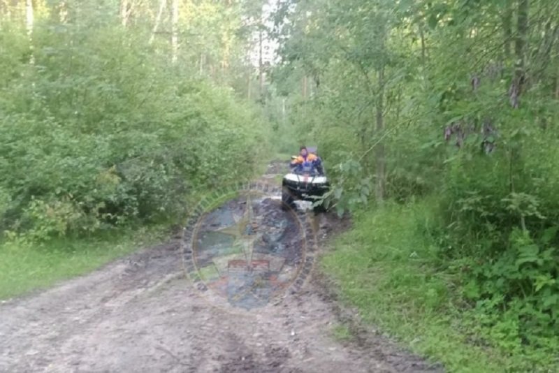 Заблудившегося пенсионера вывели из леса во Всеволожском районе - Спасатели вывели из леса заблудившегося 74-летнего мужчину во Всеволожском районе.