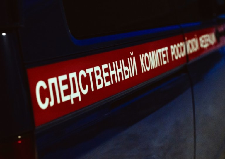 В деле об убийстве 12-летней девочки в Ленобласти есть первый подозреваемый — СМИ