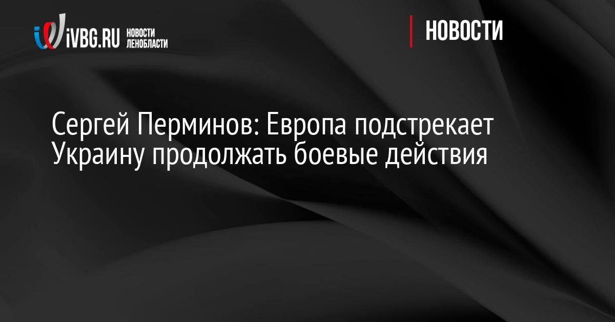 Сергей Перминов: Европа подстрекает Украину продолжать боевые действия