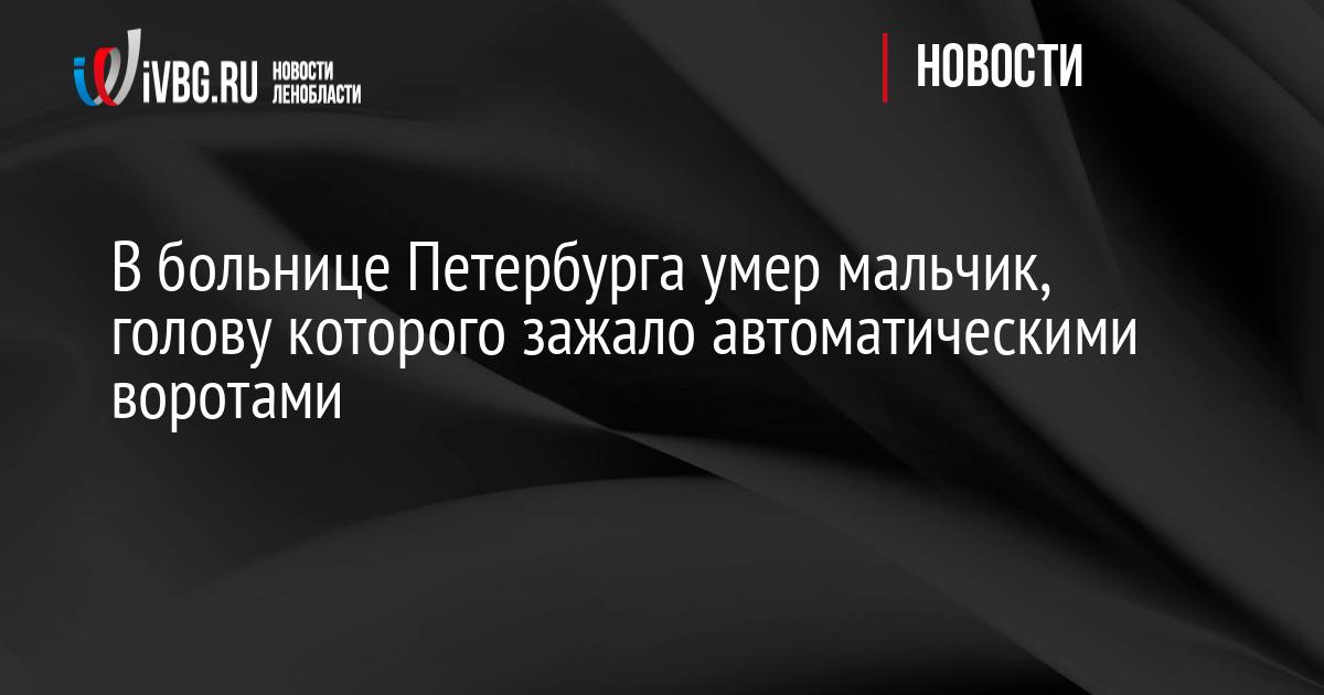В больнице Петербурга умер мальчик, голову которого зажало автоматическими воротами