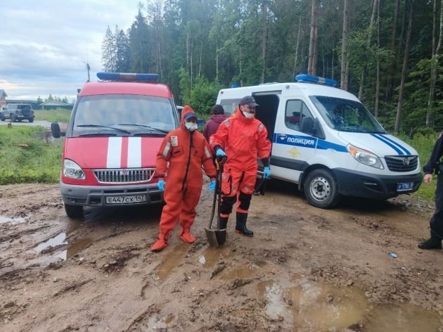 В Сертолово обнаружено тело в болотистой местности - Тело найдено в лесу, в болотистой местности, добираться туда пришлось пешком.