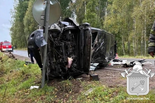 Водитель иномарки погиб в ДТП под Выборгом - Мужчина потерял управление и съехал в кювет.