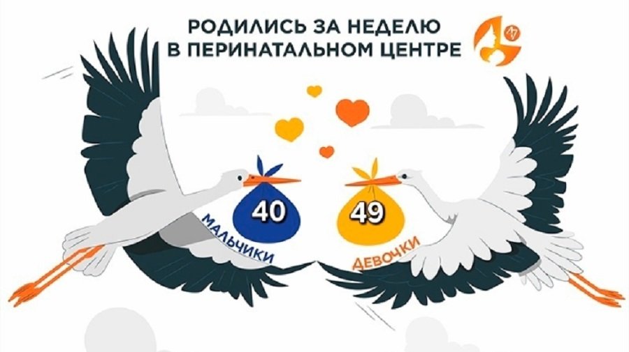 В Ленинградском перинатальном центре родились 89 детей за неделю - В Ленинградском областном перинатальном центре с 19 по 26 августа родились 89 детей – 40 мальчиков и
