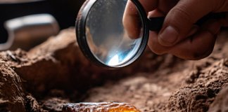Могильник эпохи неолита нашли в Ленобласти