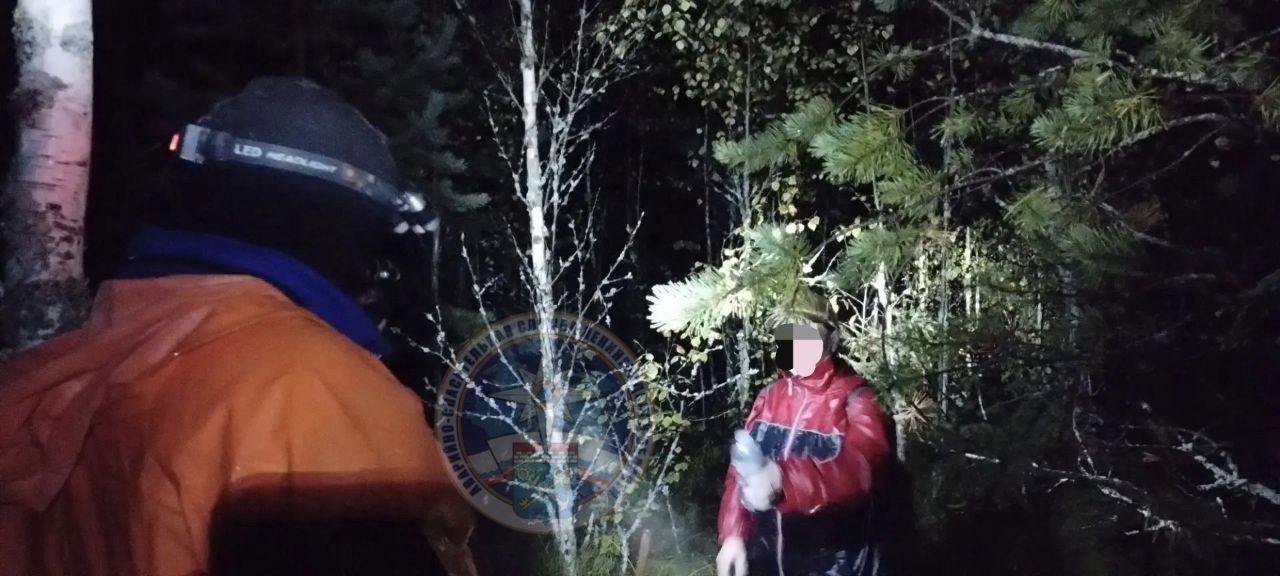 Спасатели ночью искали в лесу под Киришами заблудившуюся женщину - Ее вывели из леса и передали родственникам.