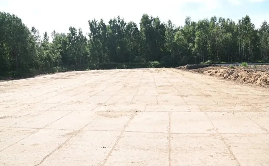 Племенной завод в Приозерском районе устранил нарушения по требованию прокуратуры - Ранее ведомство выявило нарушения ветеринарных требований и правил обращения с отходами.
