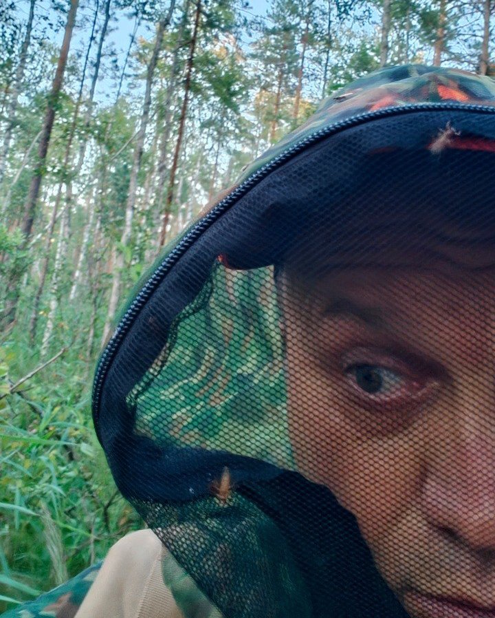 В лесах Ленобласти активизировались оленьи кровососки - Отдельные насекомые встречаются уже с июля, однако массовое появление обычно начинается в первой пол