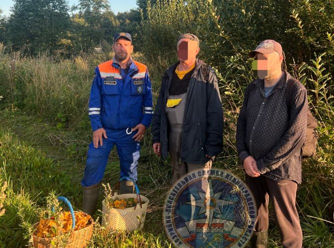 Заблудившихся грибников вывели из леса в Кировском районе - Двое мужчин отправились по грибы, но обратную дорогу забыли.