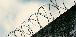 Финляндия отгородилась забором от России за 356 млн евро
