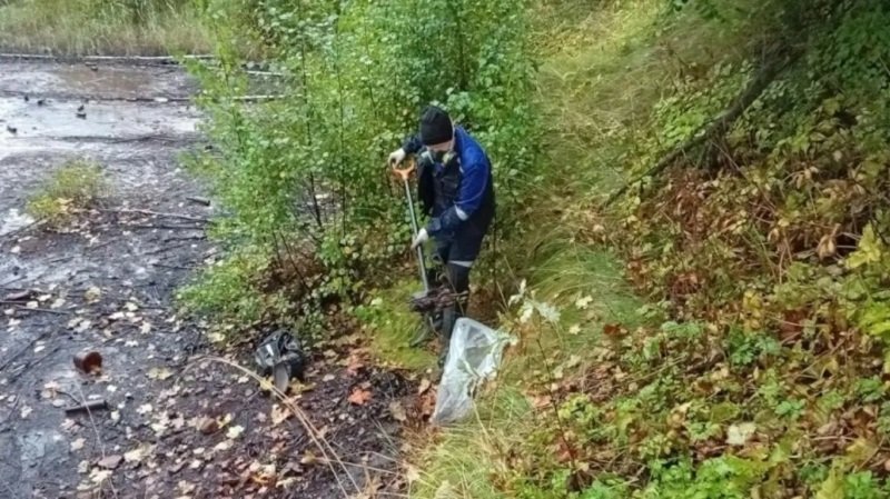 За неделю Петербург очистили от 500 кг химических отходов и 80 кг ртути - Экологические службы Петербурга с 17 по 23 августа собрали почти 70 тысяч единиц опасных отходов и в