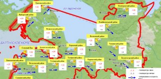 Ливни с градом и грозой пройдут в Ленобласти 2 августа