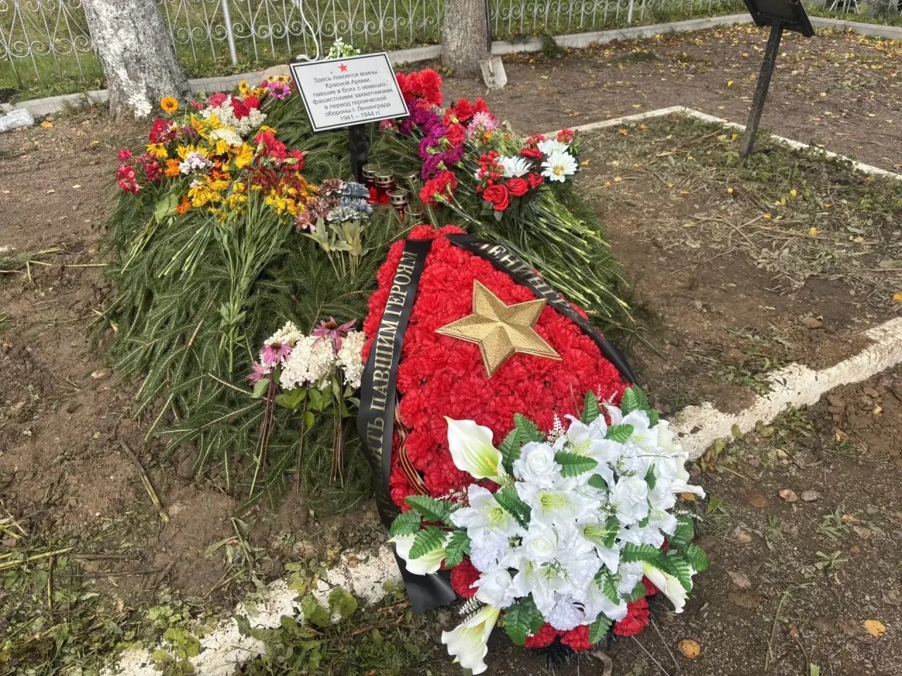 В Лужском районе перезахоронили останки 17 красноармейцев - Останки красноармейцев были подняты поисковым отрядом «Лужский рубеж».
