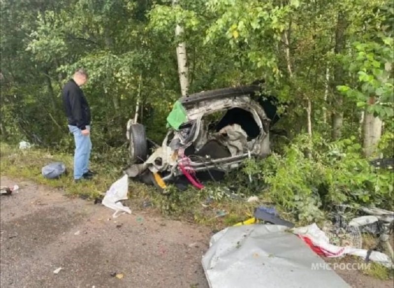 Два человека погибли, еще одни пострадал в ДТП с Tesla и Nissan во Всеволожском районе - Два человека погибли, еще один пострадал 15 августа в 11:30 в ДТП на 7-м километре дороги «Всеволожс