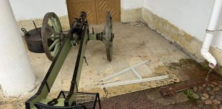 В Гатчине пьяный мужчина устроил дебош в Приоратском дворце