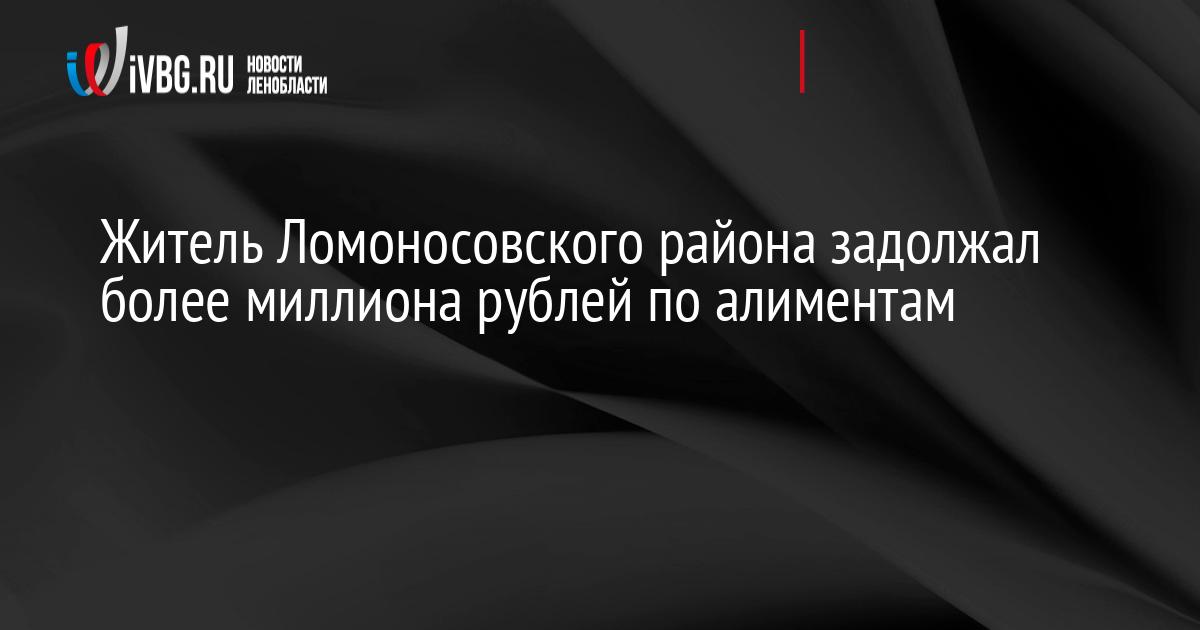 Житель Ломоносовского района задолжал более миллиона рублей по алиментам
