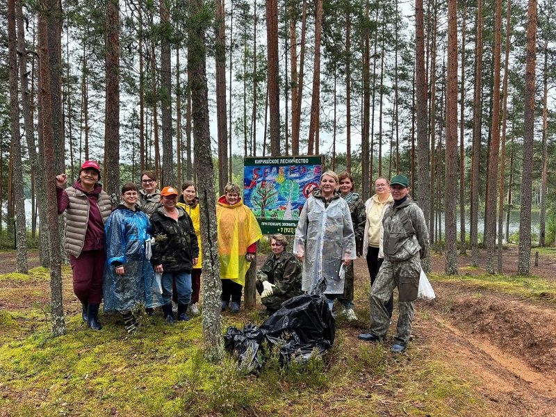 В Ленобласти продолжают очищать леса и берега от свалок - Сотрудники лесничеств «Ленобллеса» продолжают ликвидировать несанкционированные свалки и очищать бер