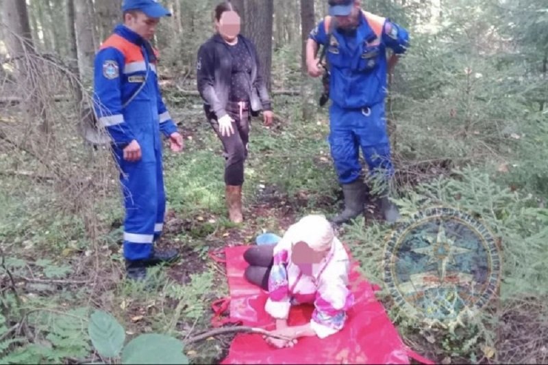 В лесу Кировского района женщину так покусали пчелы, что понадобились спасатели - Женщину покусали пчелы 29 августа в лесу в районе деревни Горы Кировского района Ленинградской облас