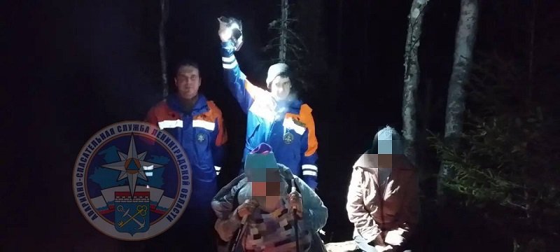 Двух женщин вывели из леса в Волховском районе - Две женщины заблудились вечером 8 сентября в лесном массиве Волховского района Ленинградской области