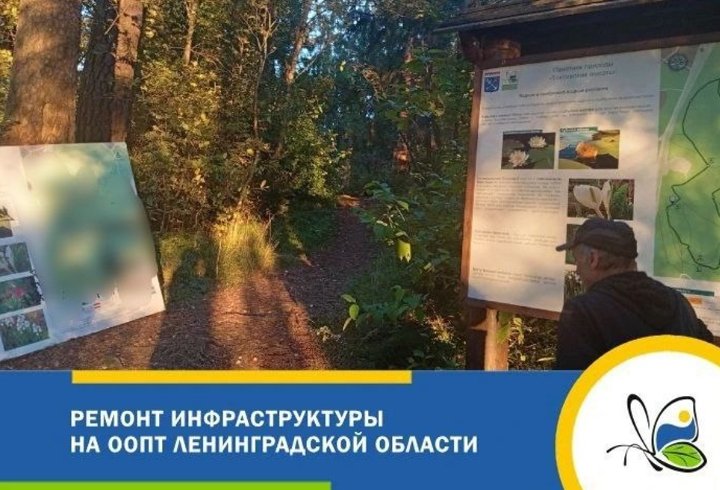 В Ленобласти приводят в порядок туристическую инфраструктуру на ООПТ - Работы охватывают множество особо охраняемых природных территорий.