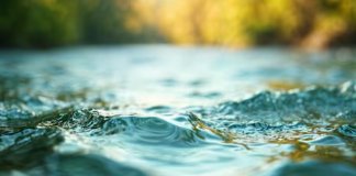 Подъем уровня воды до опасных отметок местами ожидается в Ленобласти
