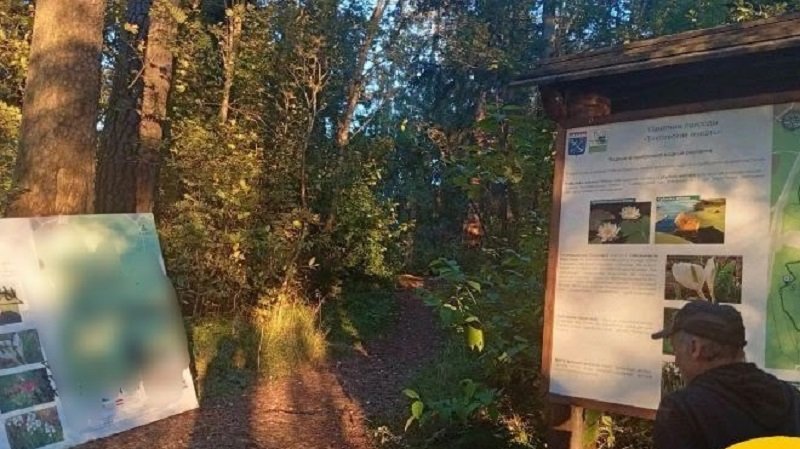 Перила и информационные щиты отремонтировали на экотропах Ленобласти - На особо охраняемых природных территориях Ленинградской области продолжают ремонтировать инфраструкт