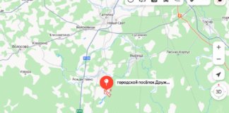 Волки напали на домашних животных в Гатчинском округе