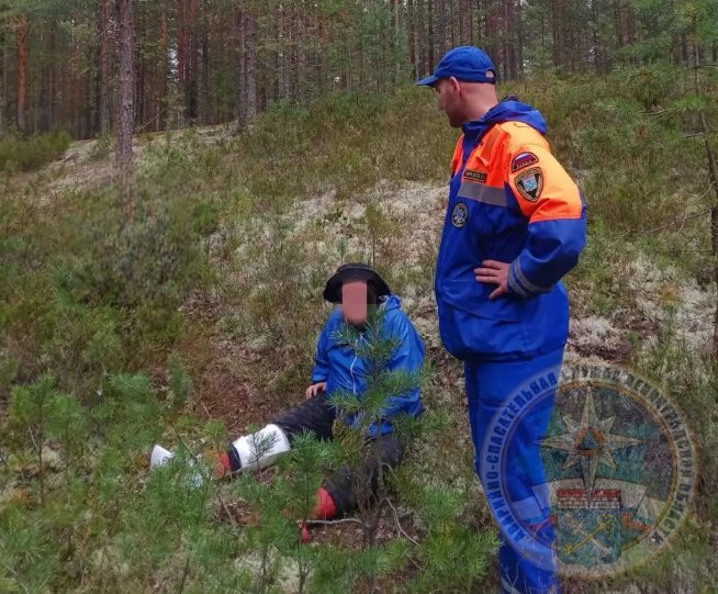 В Приозерском районе из леса вывели травмированную пенсионерку - Женщина отправилась в лесной массив и получила травму ноги, из-за чего самостоятельно выбраться уже 