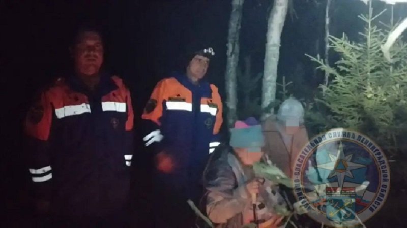 Двух женщин вывели из леса в Волховском районе - Две женщины заблудились вечером 8 сентября в лесном массиве Волховского района Ленинградской области