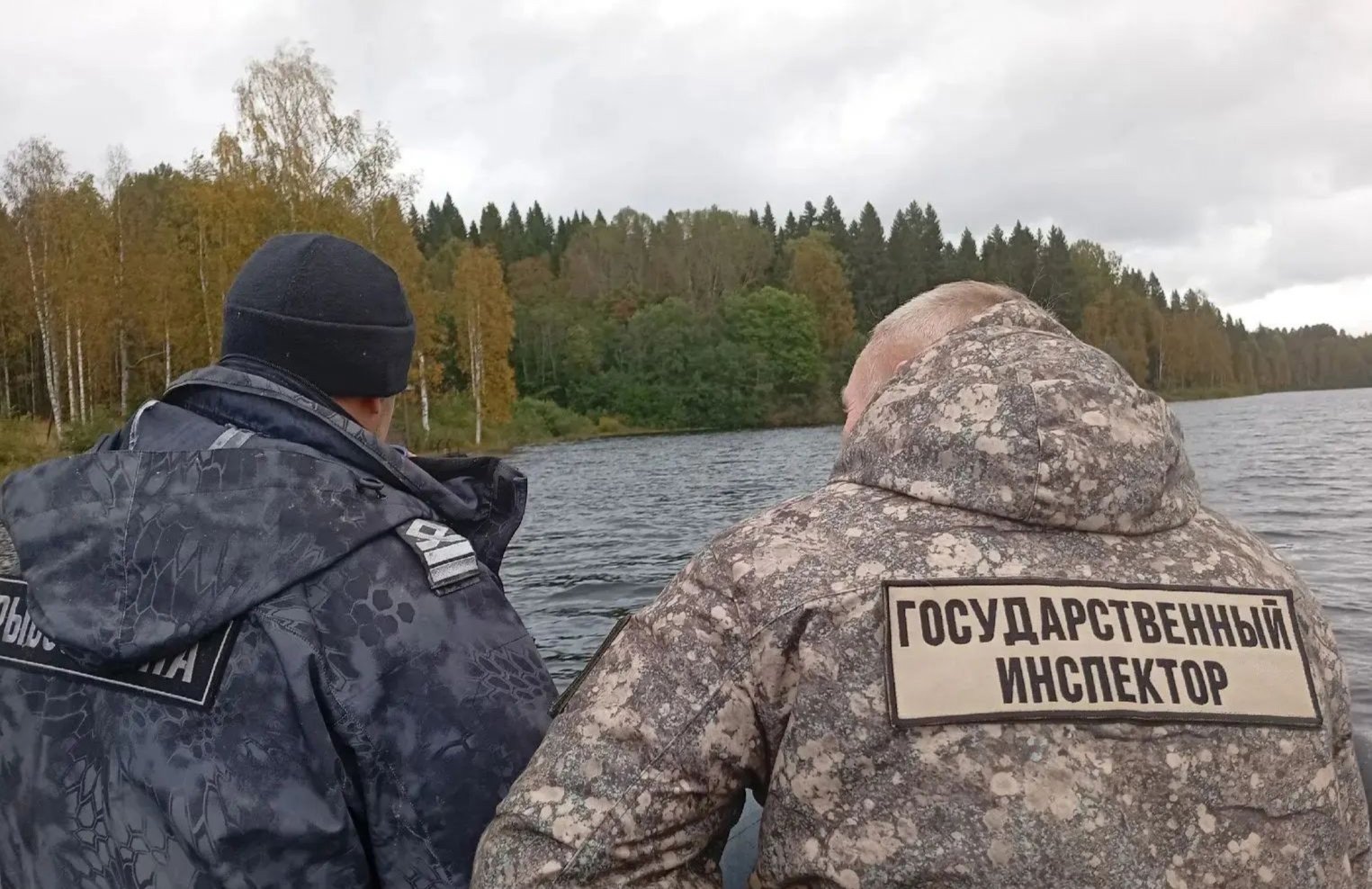 Запрещенные орудия лова изъяли в «Вепсском лесу» - В природном парке «Вепсский лес» Ленинградской области прошел совместный рейд по охране природных те