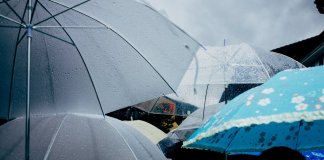 В Ленобласти 29 сентября ожидается переменная облачность.